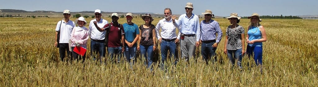 Hans Braun (seventh from left) visits wheat trials in Eskişehir, Turkey in 2014. (Photo: CIMMYT)