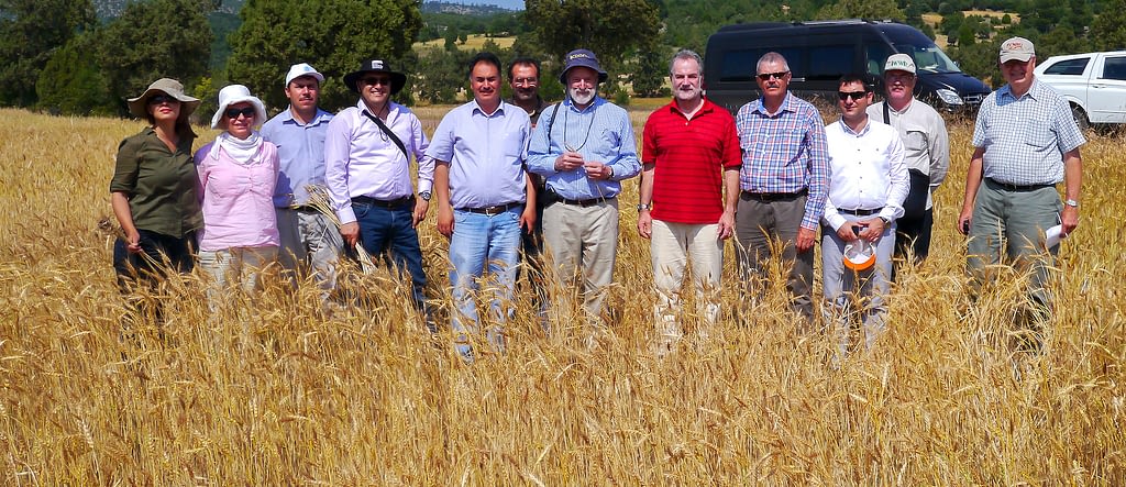 Former Director General of CIMMYT, Thomas Lumpkin (center), Hans Braun (next right) and Turkish research partners on a field day at a wheat landraces trial in Turkey. (Photo: CIMMYT)