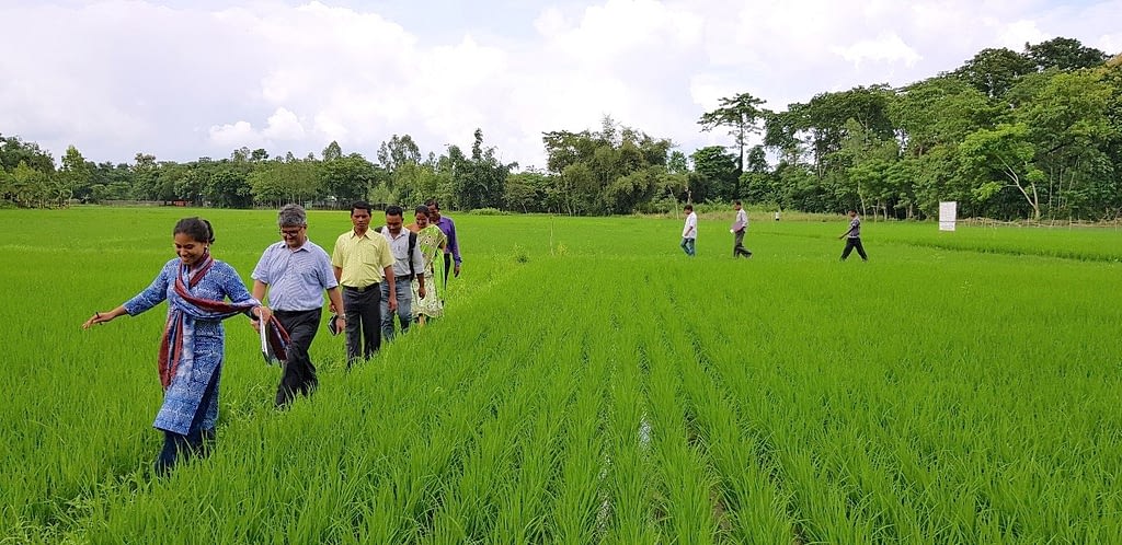CIMMYT's SRFSI team and the community walk through the fields during a field visit in Cooch Behar.