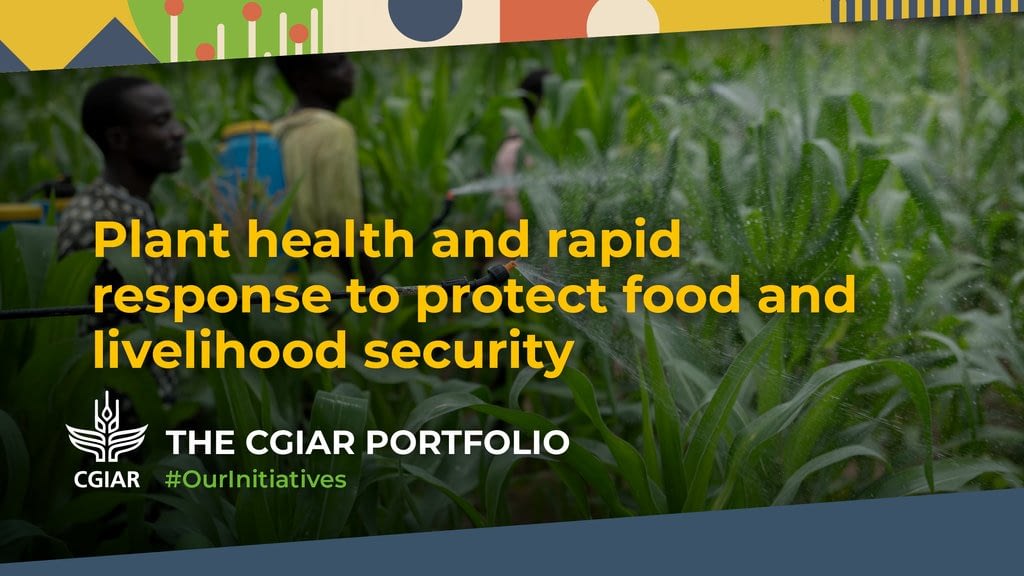 CGIAR Plant Health Initiative