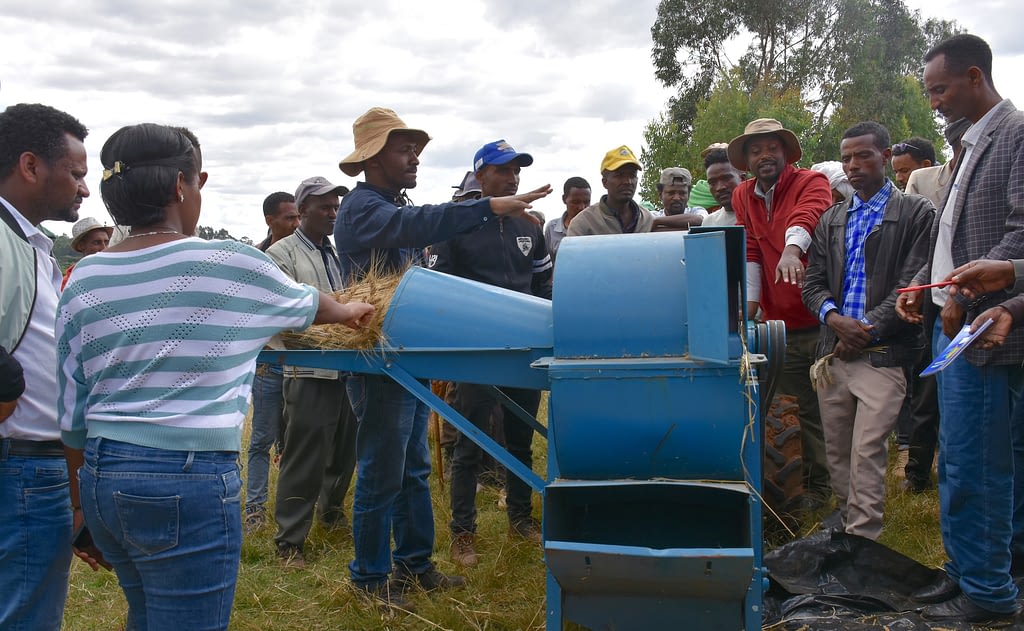 Farmers in the district of Machakel participate in a field day to learn about the use of small-scale agricultural mechanization. (Photo: Simret Yasabu/CIMMYT)