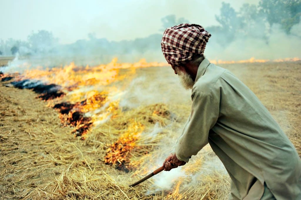 A catastrophe avoided – CIMMYT