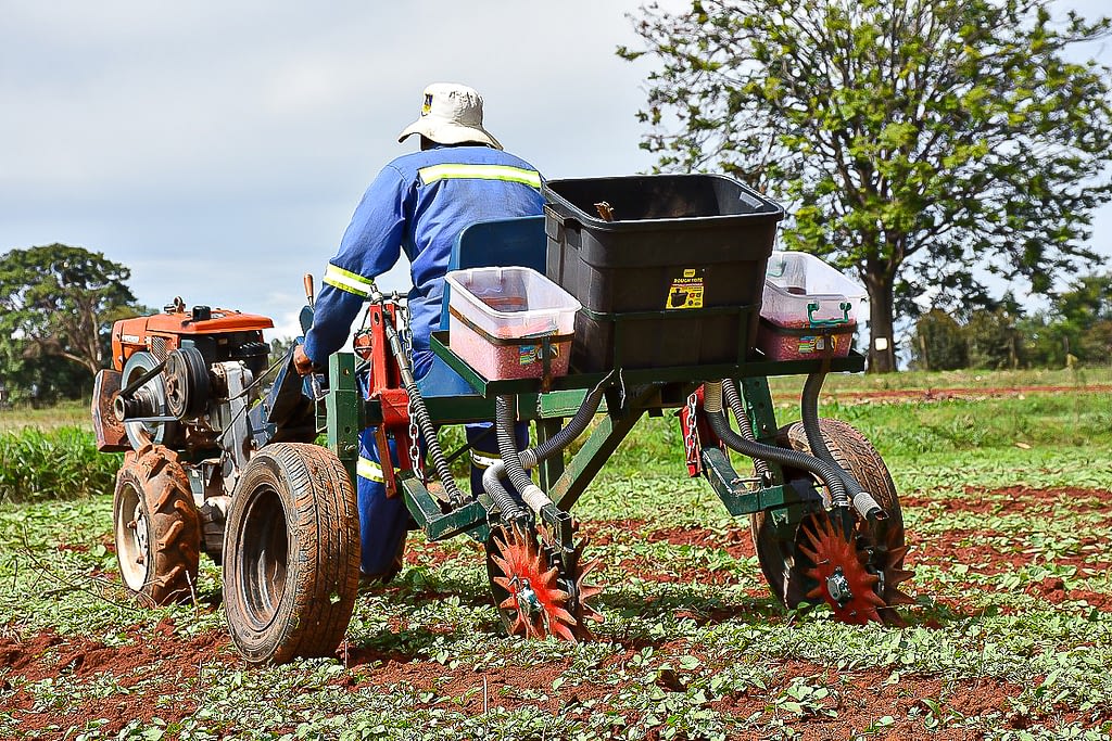 An operator demonstrates the use of a starwheel planter in Zimbabwe. (Photo: Frederic Baudron/CIMMYT)