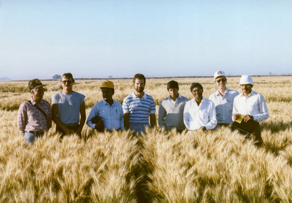 Hans Braun (center), Sanjaya Rajaram (third from right), Ravi Singh (first from right) and other colleagues stand for a photograph during a field day at CIMMYT’s experimental station in Ciudad Obregón, Sonora, Mexico. (Photo: CIMMYT)