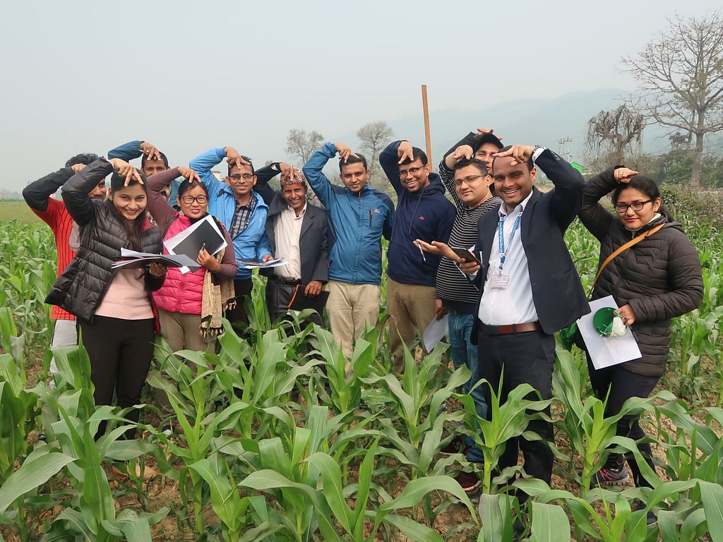Training participants imitate the fall armyworm’s white inverted Y mark visible on the front of the head of the larva. (Photo: Bandana Pradhan/CIMMYT)