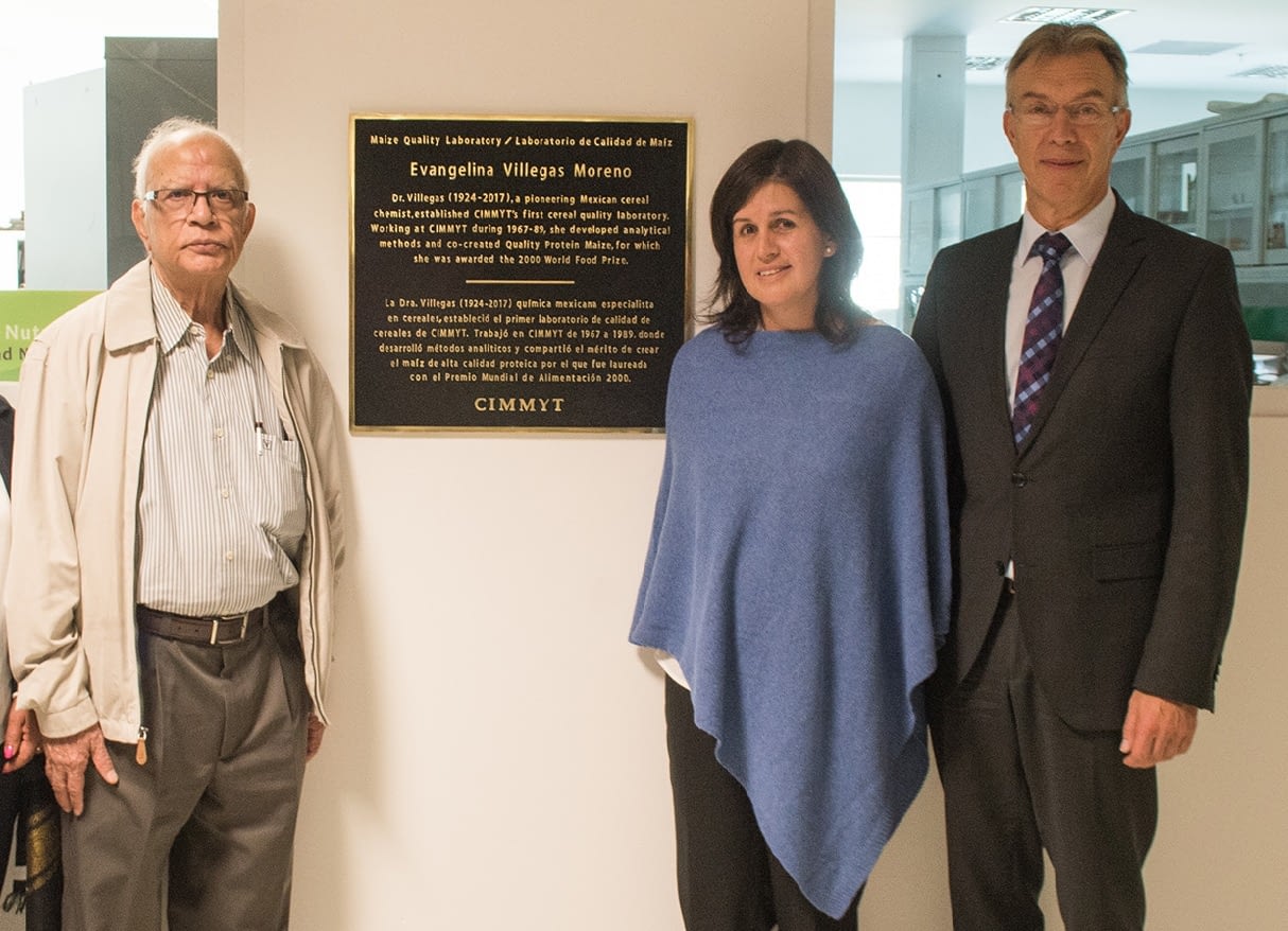 Surinder K. Vasal, former CIMMYT maize scientist and World Food Prize laureate, with Natalia Palacios, head of the CIMMYT maize quality laboratory, and Martin Kropff, CIMMYT director general, helped unveil the plaque in honor of Dr. Evangelina Villegas. (Photo: A. Cortés/CIMMYT)