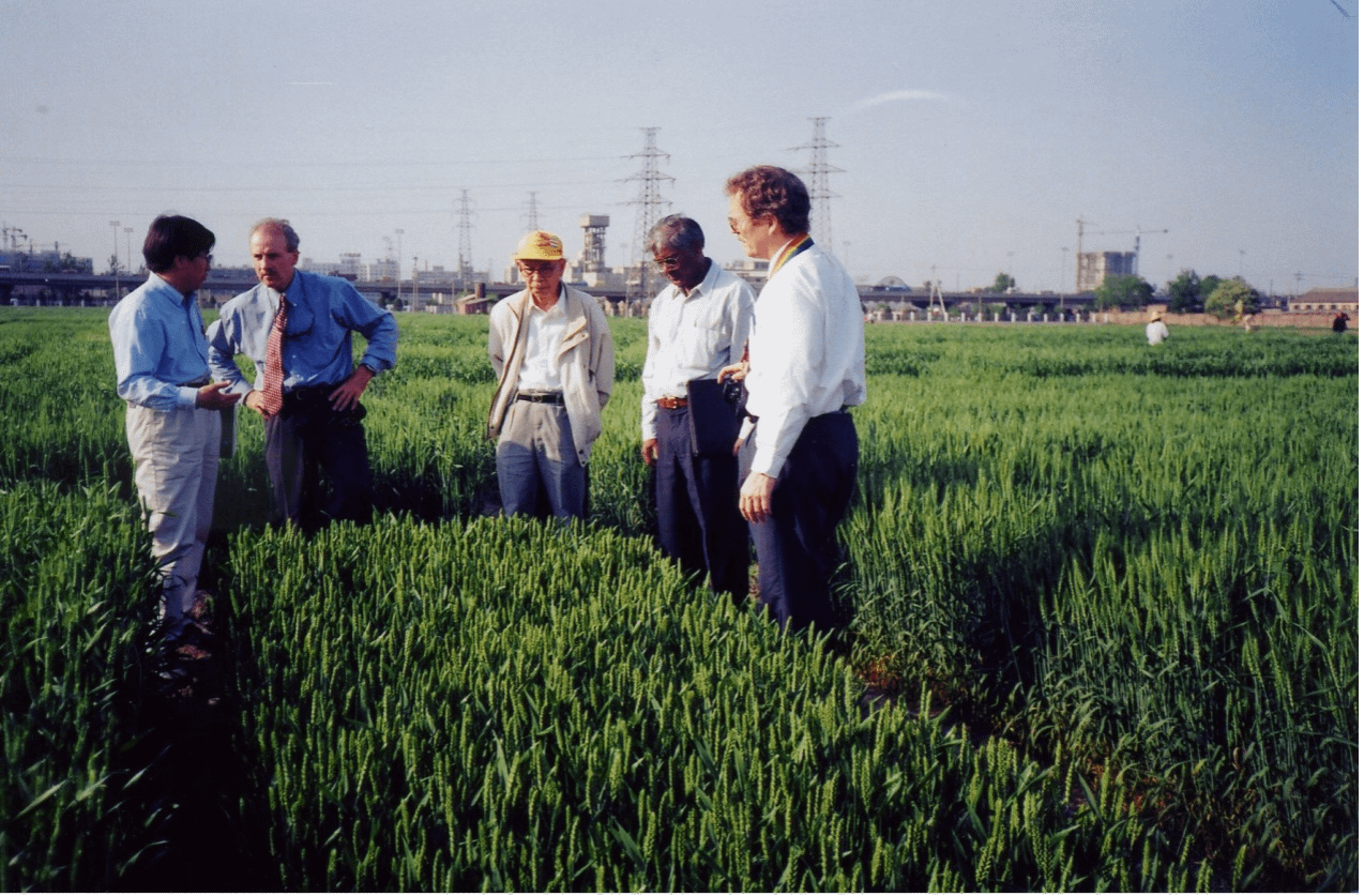 Zhuang Qiaosheng (center) receives CIMMYT delegations in Beijing in 1997. (Photo: CIMMYT)