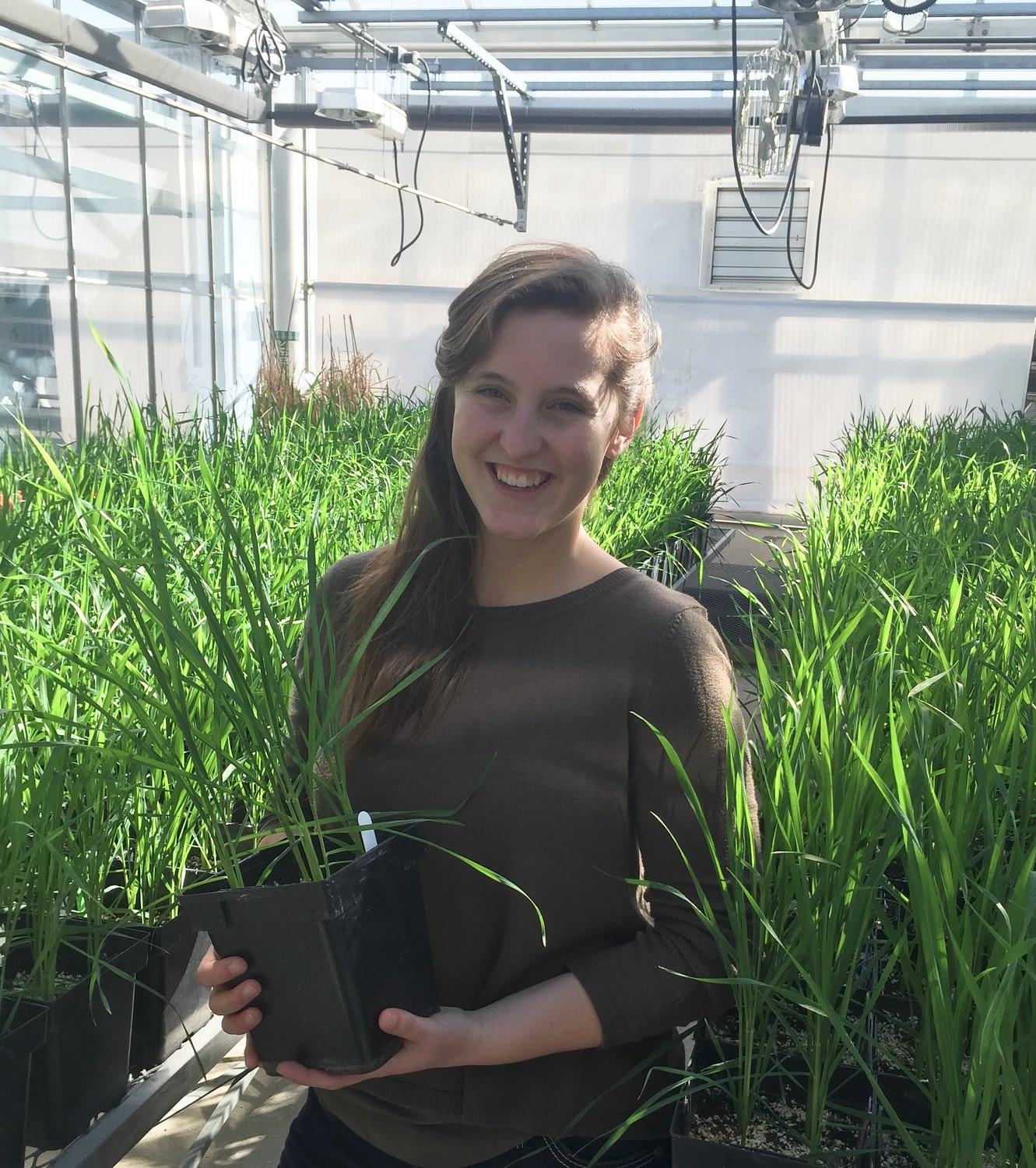 Tessa Mahmoudi, plant microbiologist and 2012 World Food Prize Borlaug-Ruan summer intern, credits the mentorship of CIMMYT researchers in Turkey with changing her outlook on the potential of science to improve food security and health. (Photo: University of Minnesota)