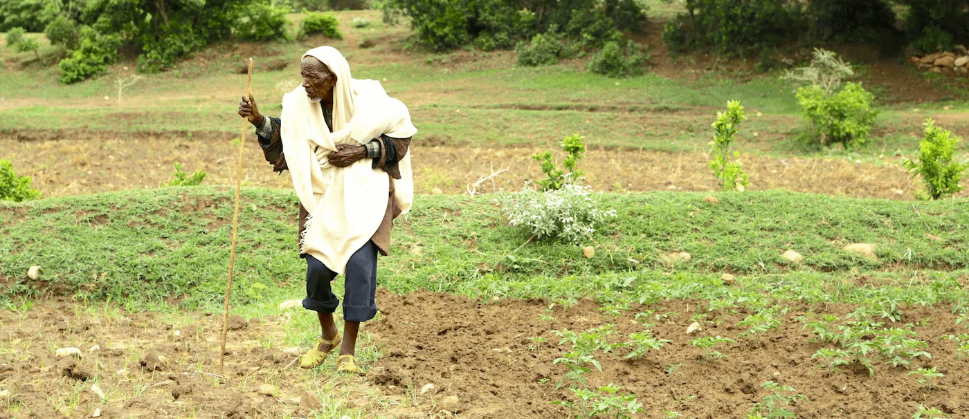 Recent research in Southern Ethiopia found that agricultural areas with the highest tree cover also experienced the most productivity in crop, feed and fuel. (Photo: Mokhamad Edliadi/CIFOR)