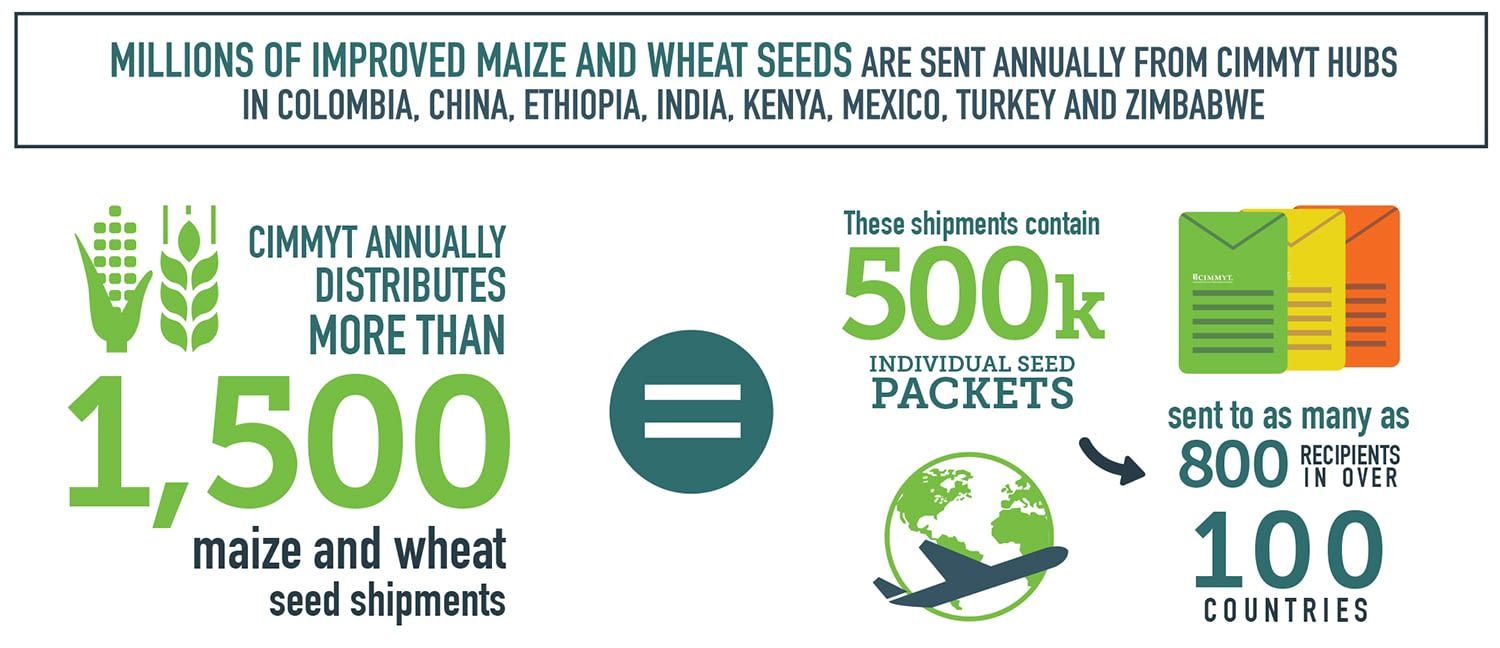 CIMMYT is one of the largest public sector germplasm providers worldwide.