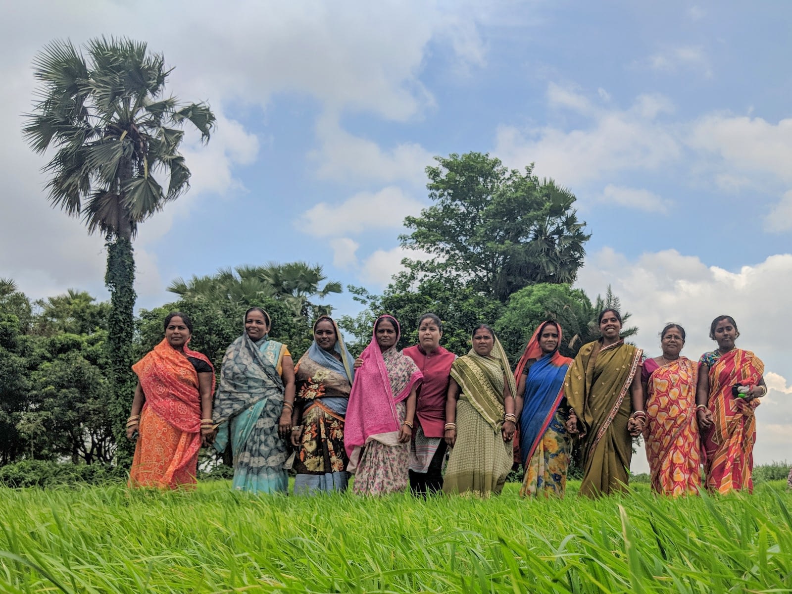 In Odisha and Bihar, CSISA has leveraged the social capital of women's self-help groups formed by the government and other civil society partners and which offer entry points for training and social mobilization, as well as access to credit. (Photo: CSISA)