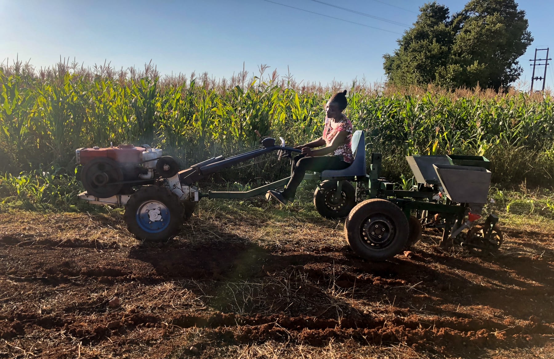 With support from CIMMYT, students at the University of Zimbabwe are working to develop agricultural machinery fitted to the environmental conditions and needs of farmers in their country and other parts of Africa. (Photo: Matthew O’Leary/CIMMYT)