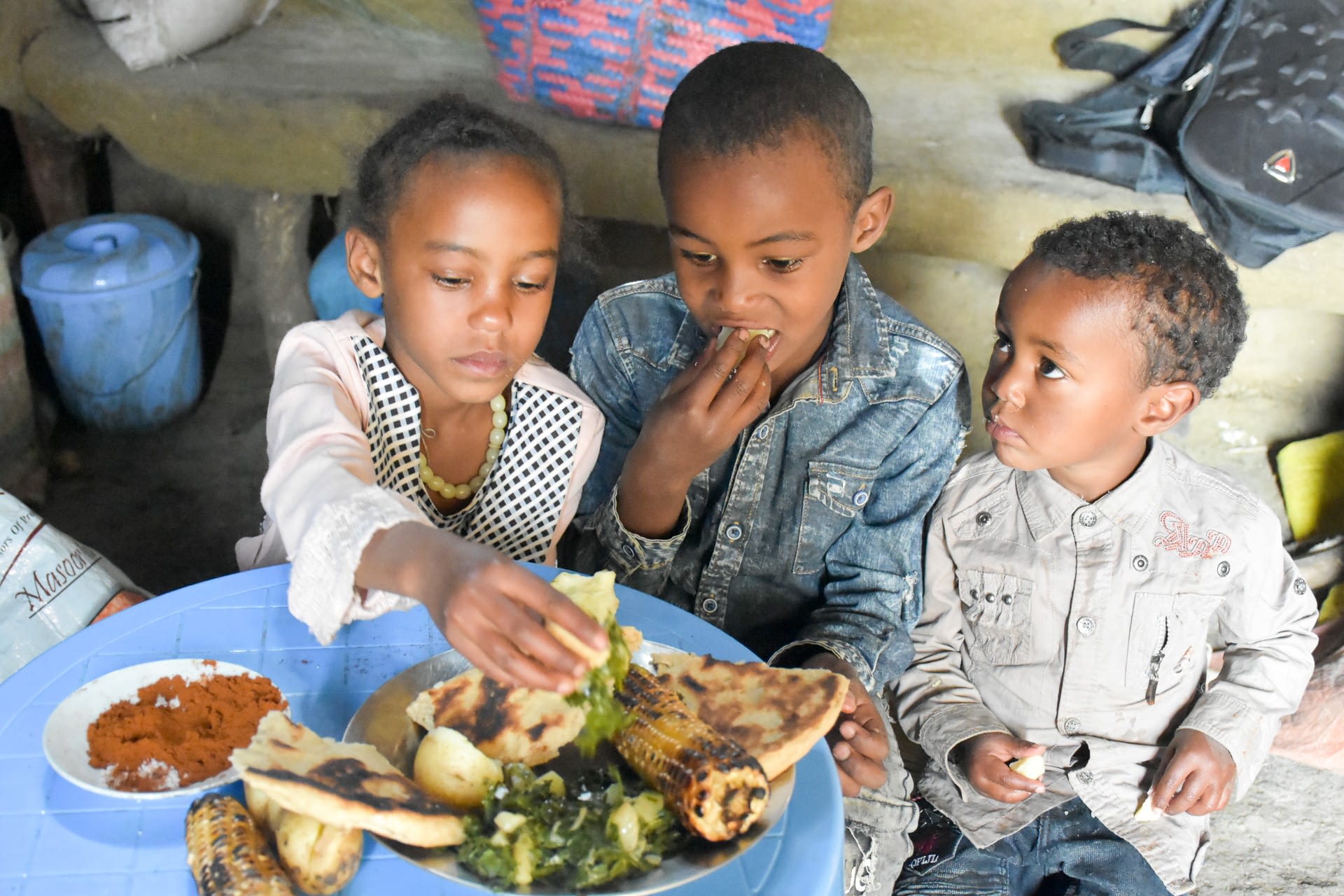 Temam Mama’s family eats healthy and nutritious food produced through irrigation. (Photo: Simret Yasabu/CIMMYT)