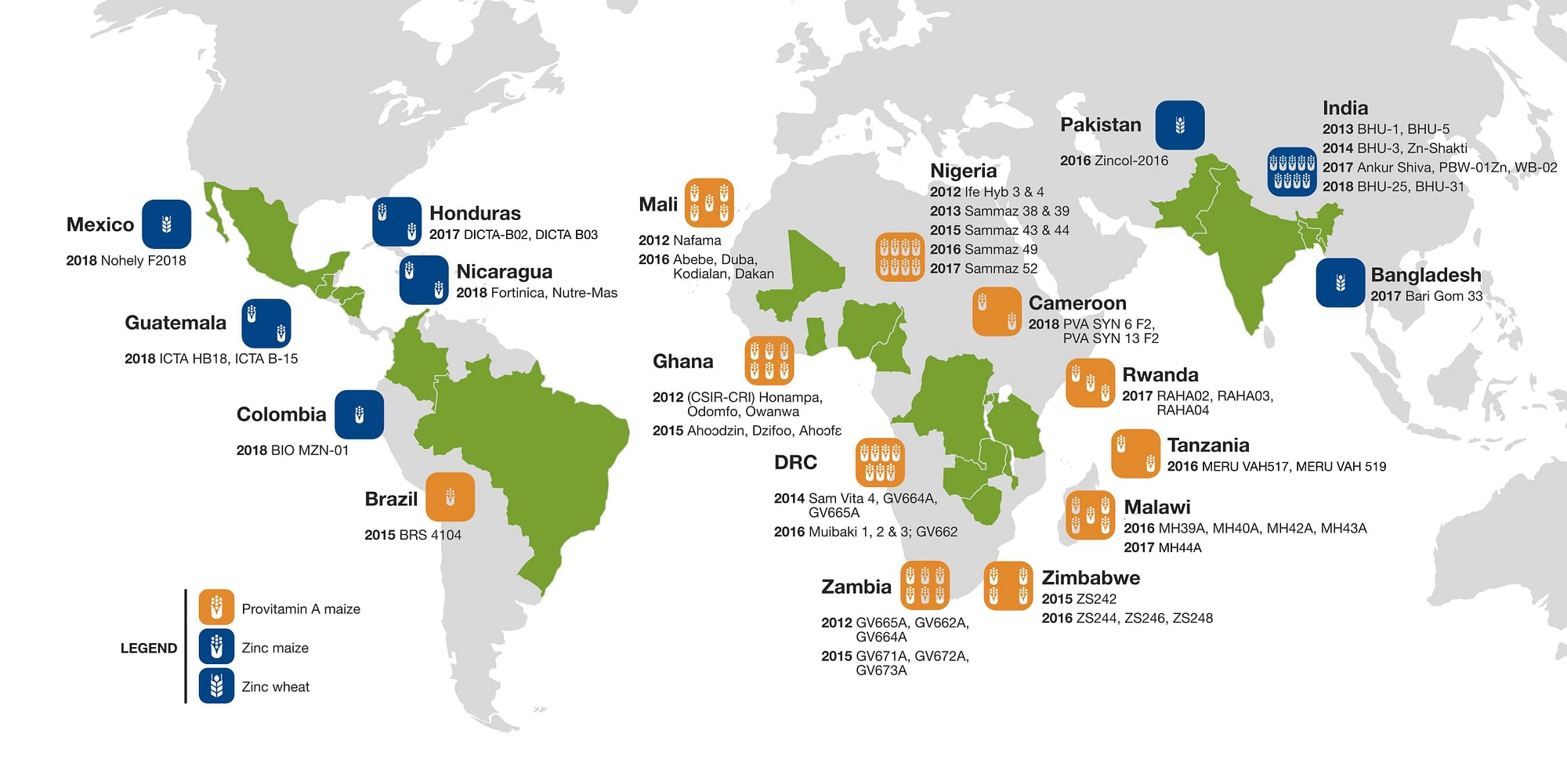 Farmer and consumer interest has grown for some 60 maize and wheat varieties whose grain features enhanced levels of the essential micronutrients zinc and provitamin A, developed and promoted through collaborations of CIMMYT, HarvestPlus, and partners in 19 countries (Map: Sam Storr/CIMMYT).
