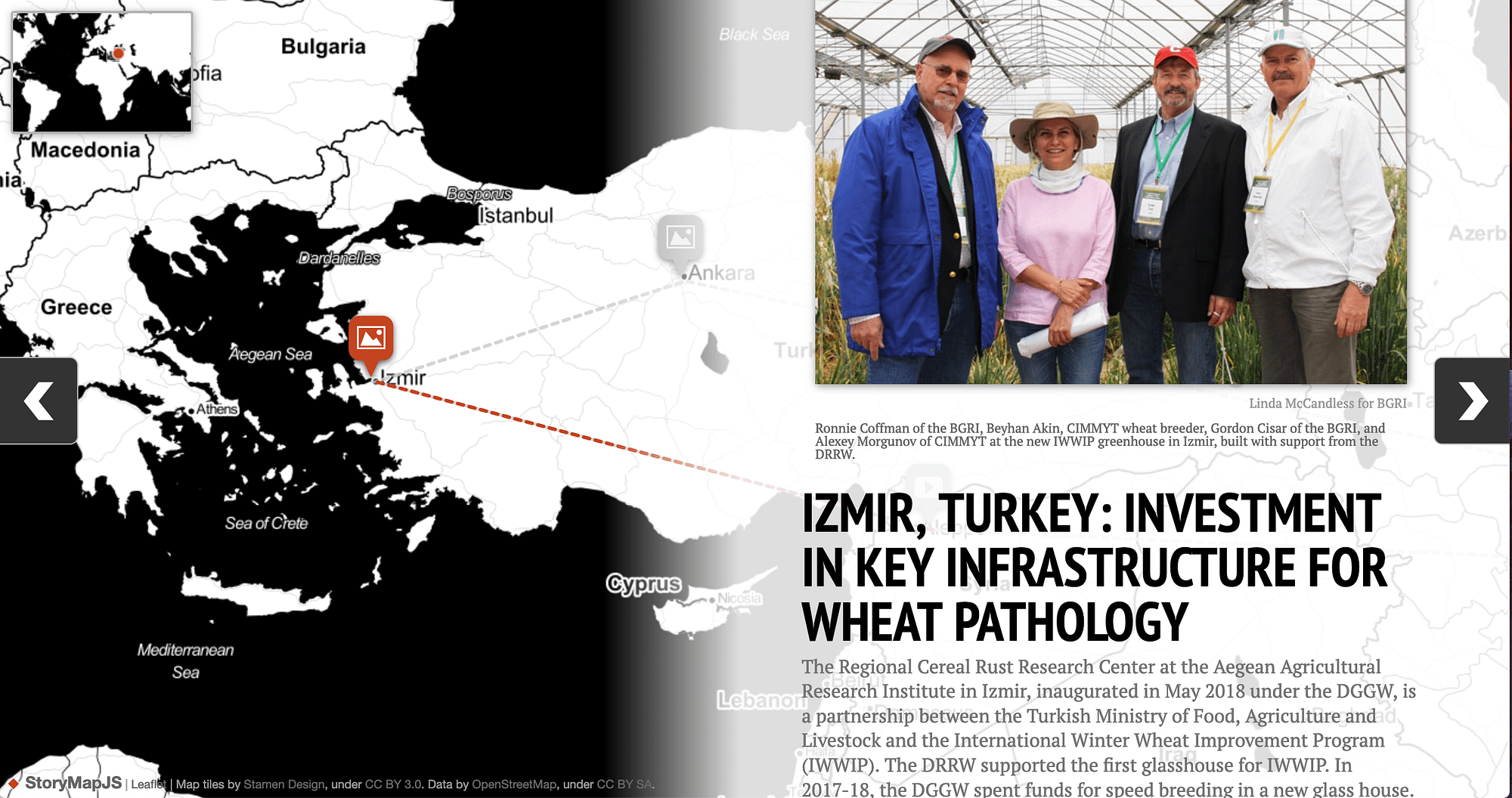 The new interactive map allows visitors to visually explore the milestones that allowed a global network of researchers to fight threats to wheat production.
