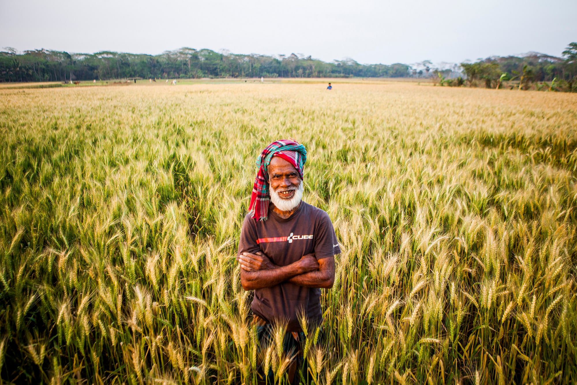 Tara Miah, a farmer from Rajguru in Rahamanbari union, Barisal, Bangladesh. (Photo: Ranak Martin/CIMMYT)