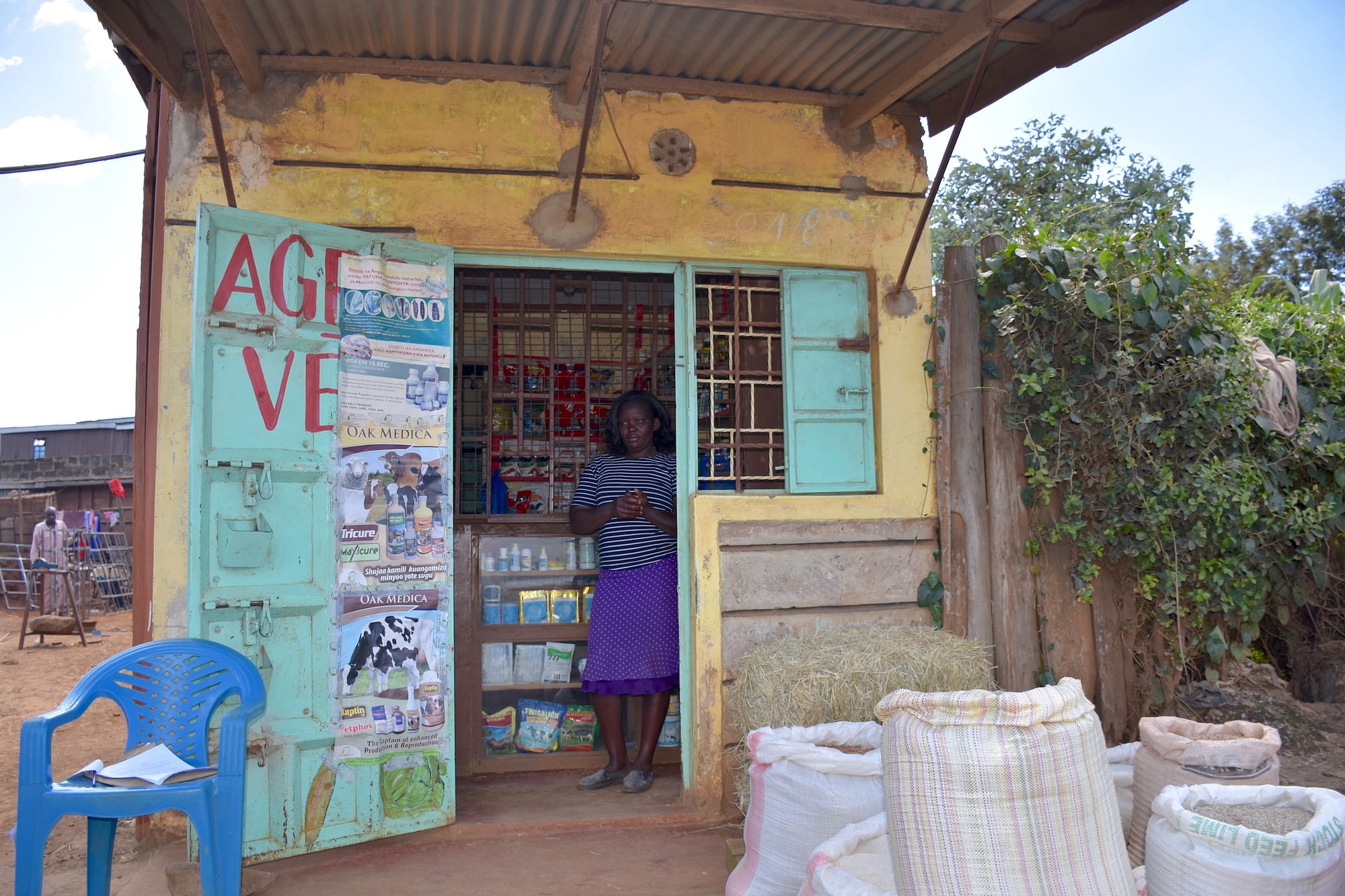 Philomena Muthoni Mwangi stands at the entrance of her agrodealer shop, Farm Care, in the village of Ngarariga. (Photo: Jerome Bossuet/CIMMYT)