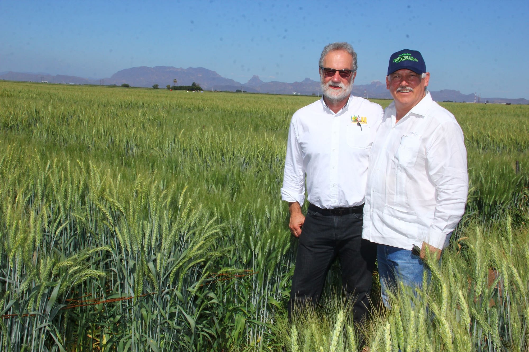 Secretary Villalobos (right) and Hans Braun, Program Director for CIMMYT's Global Wheat Program, stand for a photograph in a wheat field at the experimental station in Obregón. (Photo: Ernesto Blancarte)