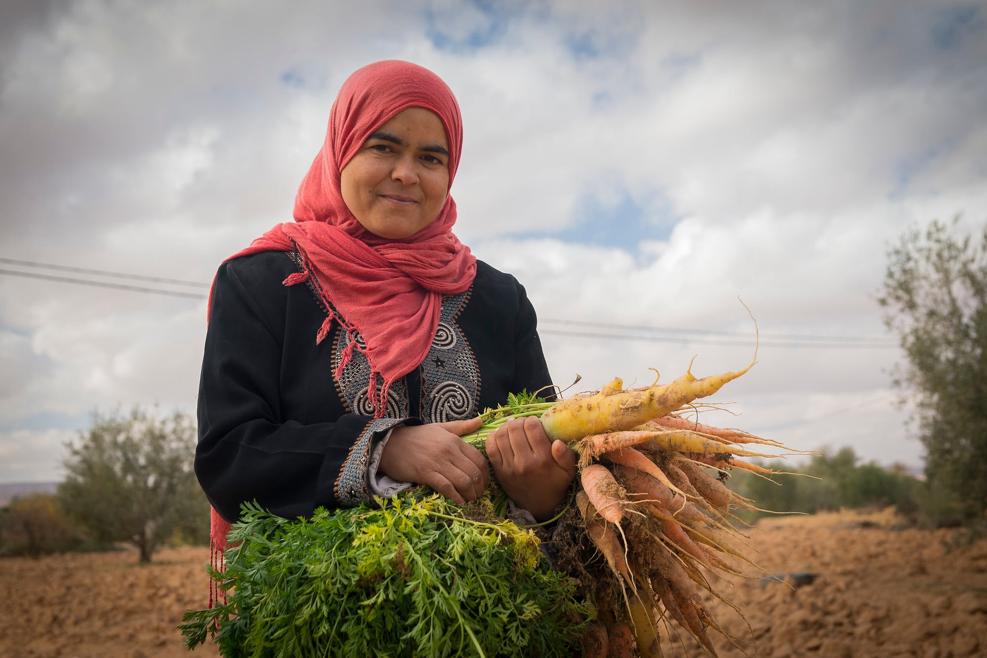 Growing vegetables in Tunisia. (Photo: ICARDA)