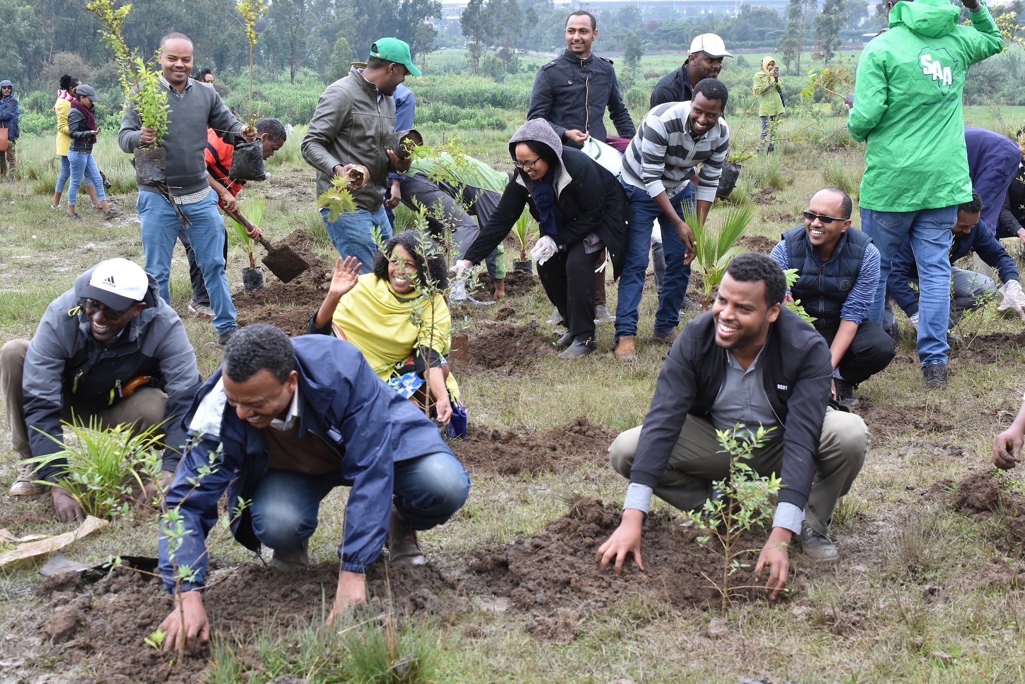 CIMMYT and CGIAR staff members put their tree seedlings in the ground. (Photo: CIMMYT)
