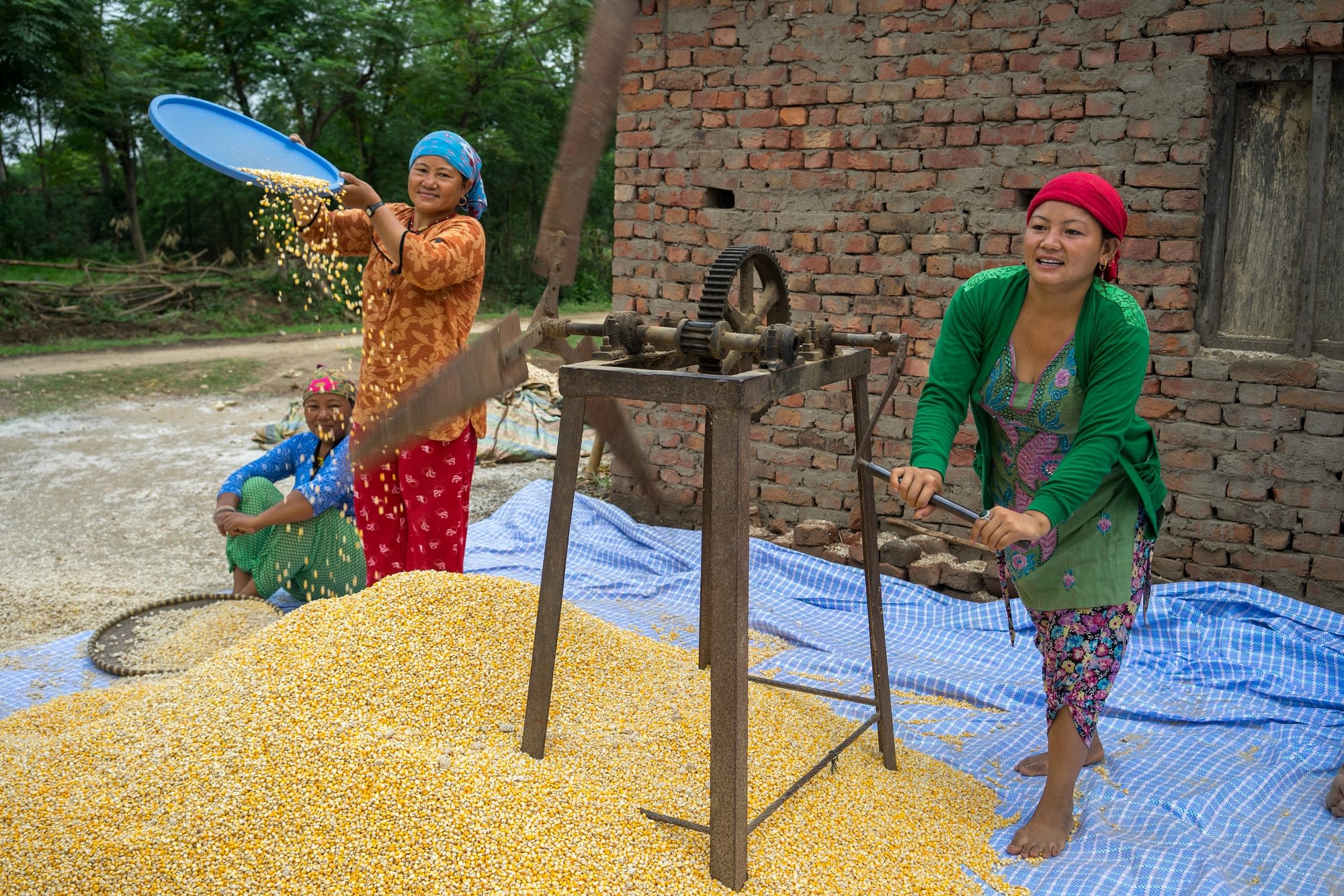 Two women winnowing maize in Rambasti, Kanchanpur, Nepal, back in 2016. Photo: P. Lowe/CIMMYT