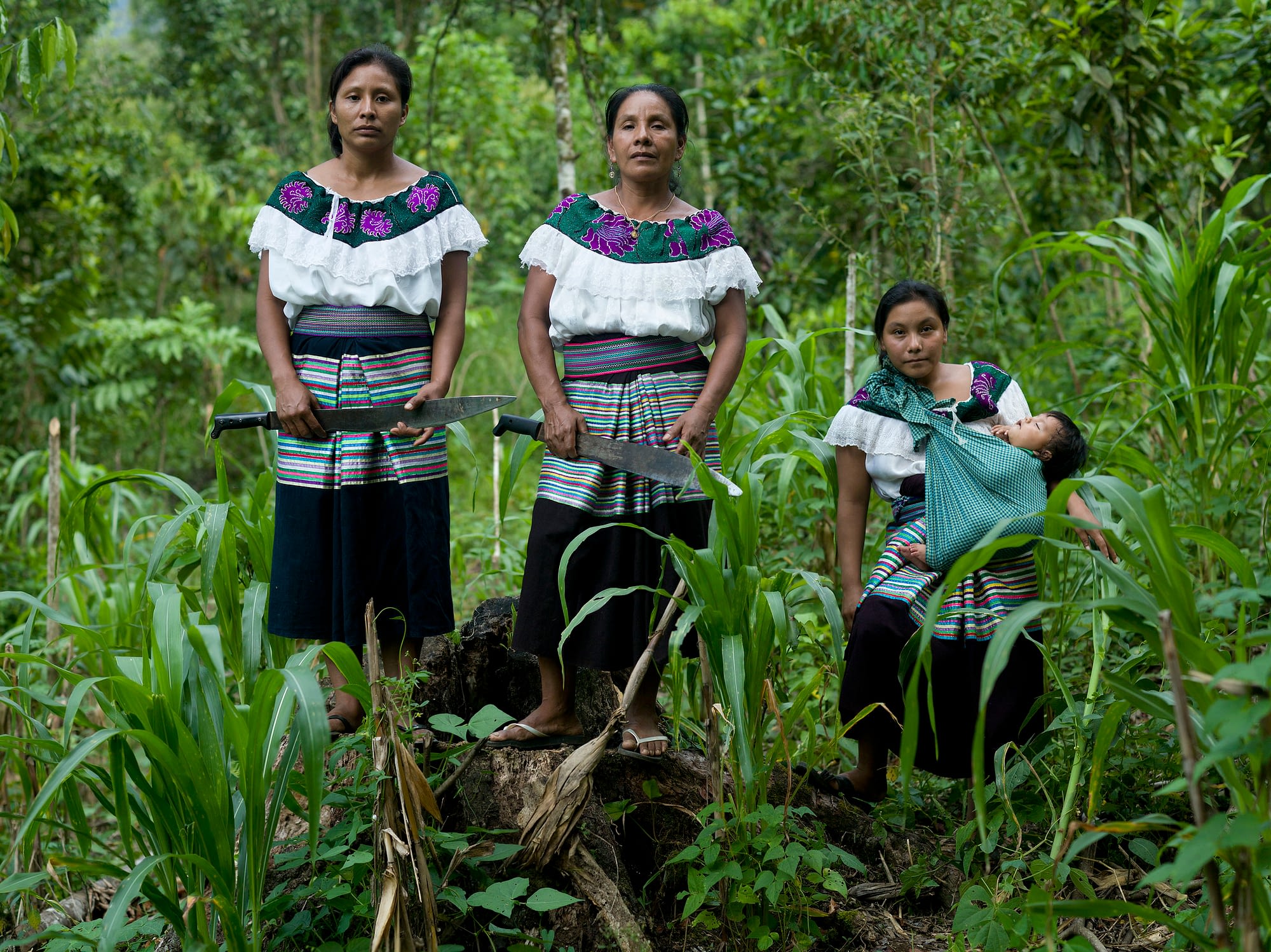 Tzeltal farmers in Chiapas, Mexico. (Photo: Peter Lowe for CIMMYT)