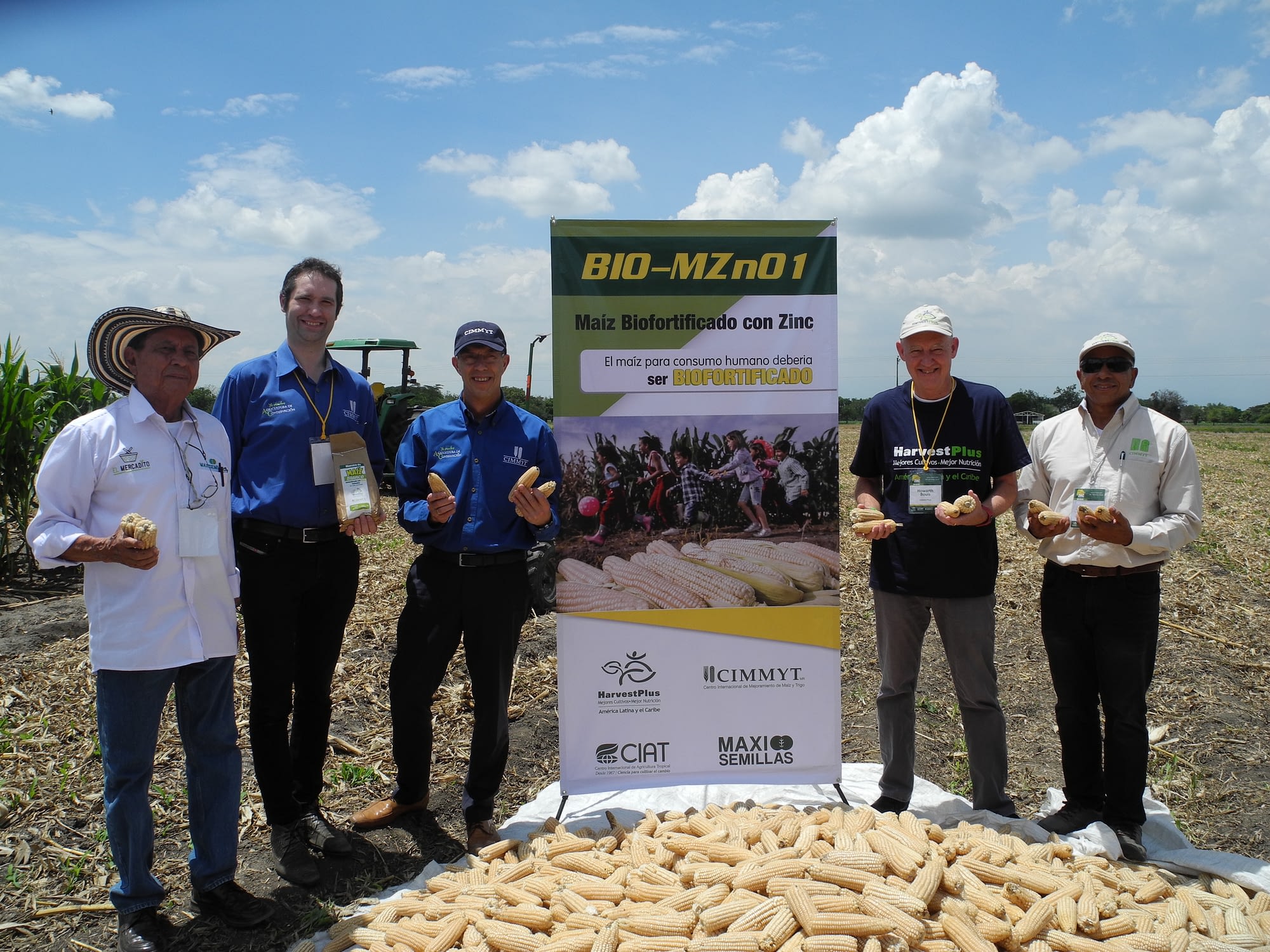 Left to right: Miguel Lengua, director general of Maxi Semillas S.A.S; Bram Govaerts, Latin America regional director at CIMMYT; Martin Kropff, CIMMYT director general; Howdy Bouis, interim HarvestPlus CEO; and Felix San Vicente, CIMMYT maize breeder; at the launch of new biofortified zinc maize. (Photo: Jennifer Johnson/CIMMYT)