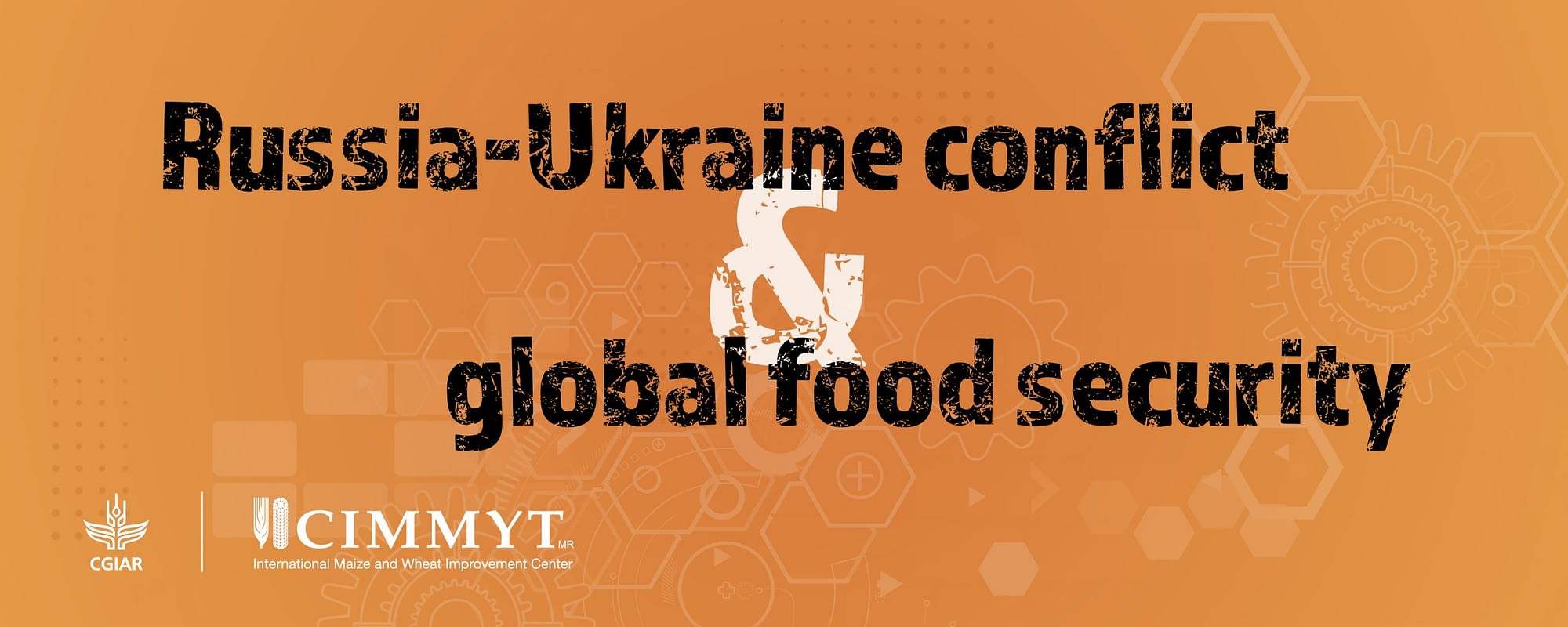 Explore our coverage and analysis of the Russia-Ukraine war and its impact on global food security.