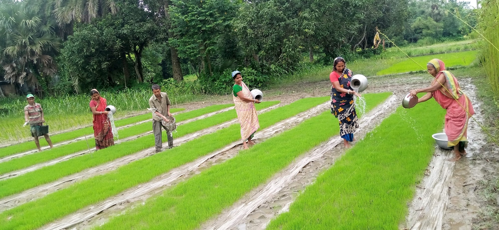Women working in field.