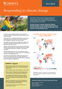 cimmyt-responding-to-climate-change