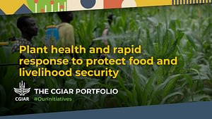 CGIAR Plant Health Initiative