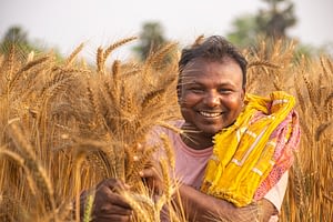 India’s farmers feed millions of people. (Photo: Dakshinamurthy Vedachalam)