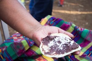 Tortillas made of zinc-enriched biofortified maize. Photo: HarvestPlus.