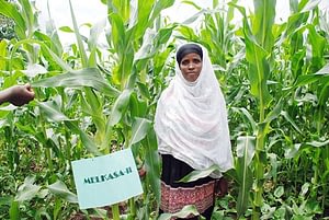 Fatuma Hirpo on her conservation agriculture demonstration plot where she has intercropped drought tolerant maize variety Melkassa II with beans.