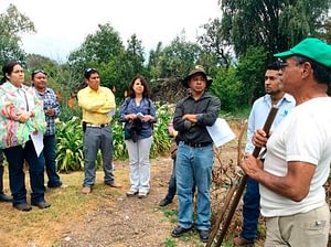 Course participants learning about the experiences of Mexican farmers who practice CA. Photo: Gabriela Ramírez