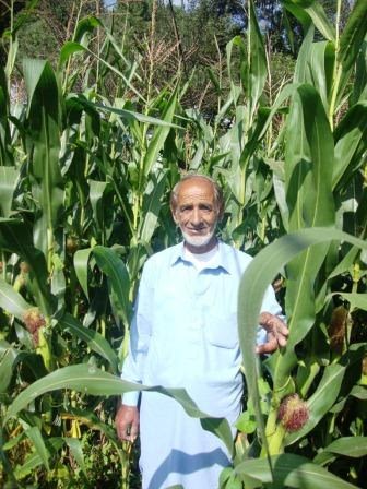 M. Sadeeq Tahir, the first QPM farmer in Pakistan who tested the newly introduced QPM hybrids in his field. Photo: M. Ashraf