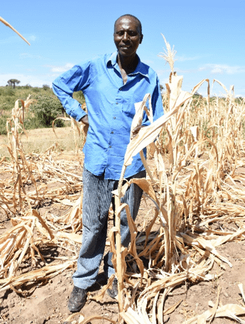 Farmers at center of sustainable agriculture in Kenya – CIMMYT