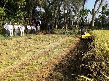 The deputy administrator of USAID and his attaché observe a rice and wheat crop harvester piloted by an entrepreneurial farmer turned businessman. Photo: Md. Aktarul Islam/CIMMYT-Bangladesh