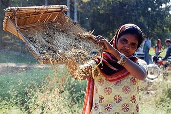 Climate change is likely to have a huge impact on cereal farmers in India. CIMMYT/Emma Quilligan