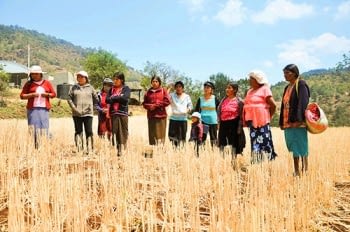 Women-farmers-MasAgro