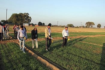 Agronomists receive GreenSeeker training at a DWR field. Photo: RK Sharma, DWR