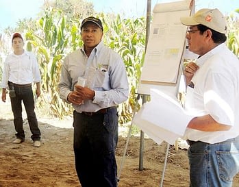 Félix San Vicente, Leader of the maize component of MasAgro.