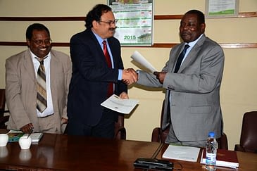 After the signing ceremony, BM Prasanna, MAIZE CRP Director, shakes hands with Ringson Chitsiko, the Permanent Secretary of Zimbabwe’s Ministry of Agriculture. Looking on, is Mulugetta Mekuria, CIMMYT-SARO Regional Representative. Photo: Johnson Siamachira