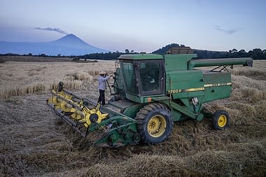 Wheat harvest in Juchitepec, Estado de México. Photo: P.Lowe/CIMMYT