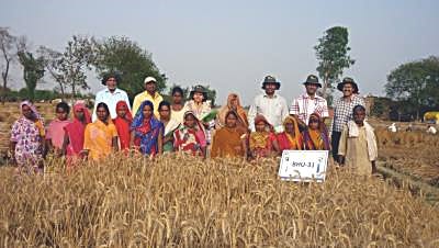 Women farmers in field.
