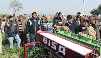 The Director of Agriculture (3rd from left) and the District Collector (2nd from right) view a demonstration of urea drilling in a standing wheat crop. Photo: Manish Kumar/CIMMYT