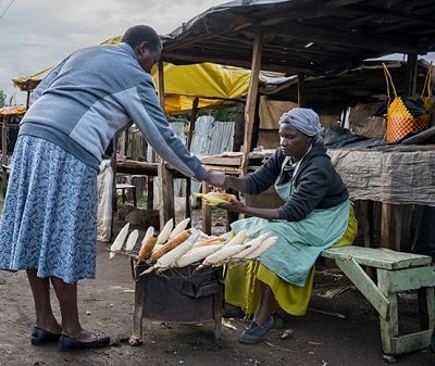 Roadside vendor sells roasted maize cobs in Kenya. (Photo: P.Lowe/CIMMYT)