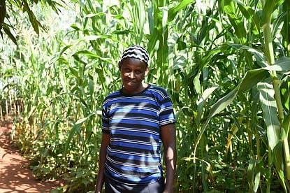 “I learned about intercropping from an extension agent and decided to try it out on a small plot, before planting in the larger plot,” Hellen Owino shares, adding, “I think I’m now ready to plant on the larger piece of land. Even though some Striga plants emerge, I’m able to weed them out before they flower, and my yield is not severely affected.” Photo: K. Kaimenyi/CIMMYT