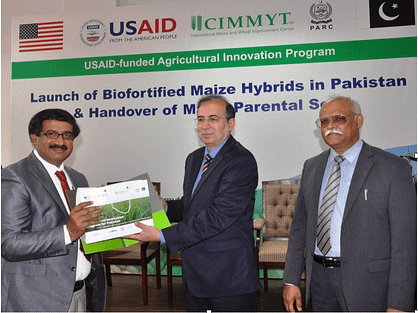 M. Hashim Popalzai (center) handing over samples of maize parental lines. At the left Mr. Faisal Hayat from the seed company Jullundur Private Ltd. receiving the seed and at the right Nadeem Amjad, PARC Chairman. Photo: M. Waheed Anwar