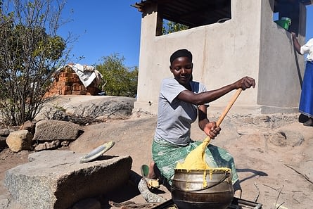 A farmer prepares Sadza to be used in the taste evaluation exercise. R.Lunduka/CIMMYT